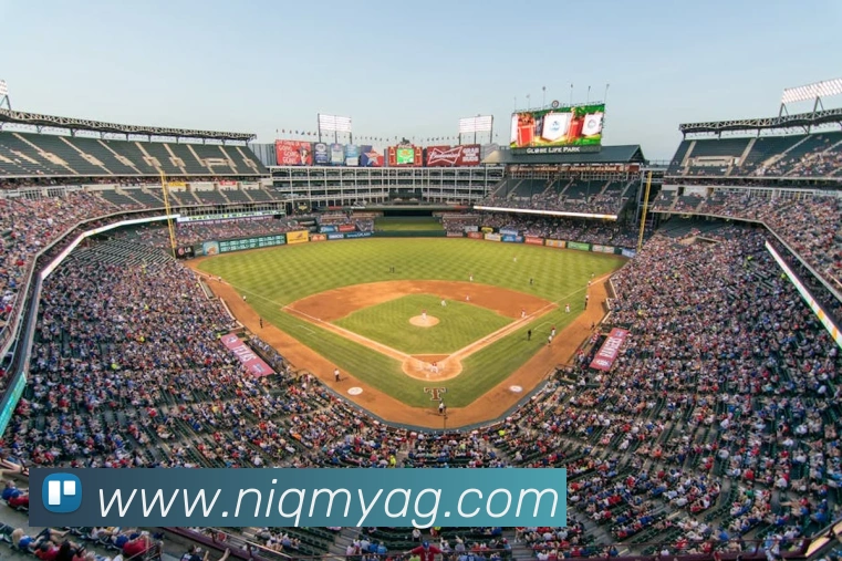 ag百家乐平台生态图