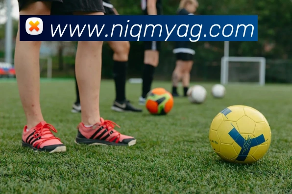 ag百家乐APP 封面图